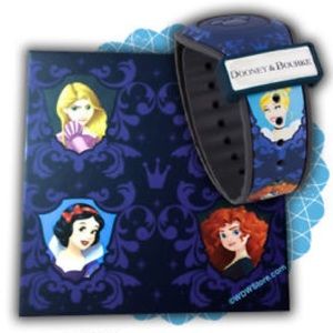 Disney Dooney and Bourke princess magic band